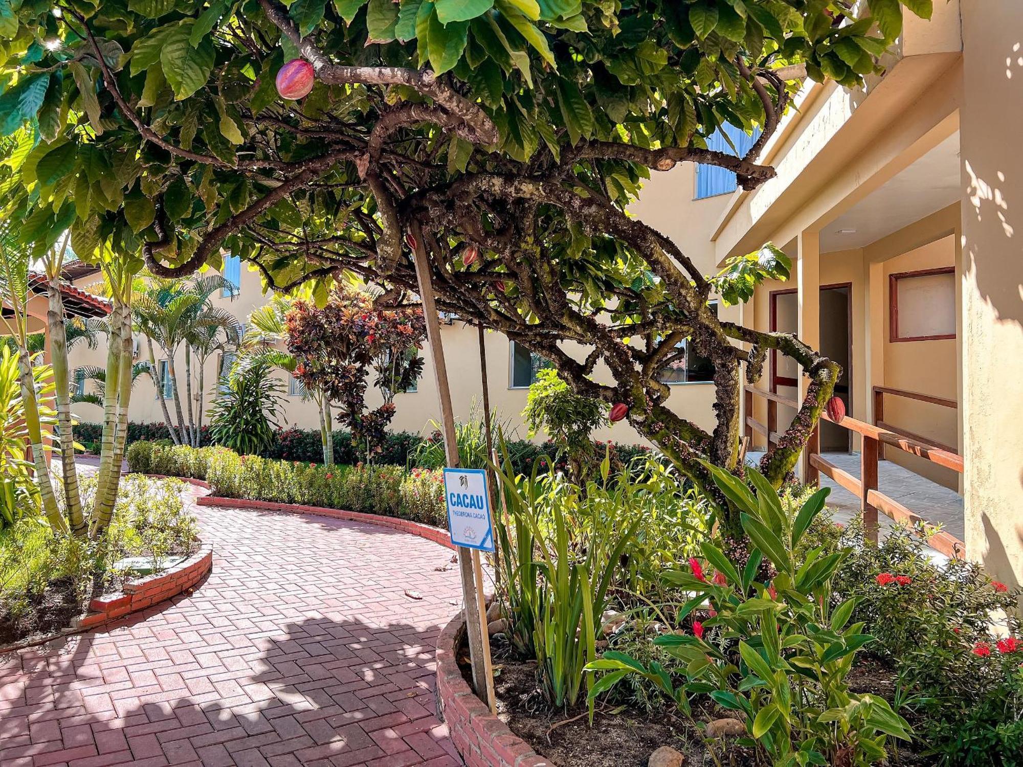 Suiite Com Ar Condicionado, Frigobar E Mesa Trabalho. Localizada No Porto Belo Park, Com Parque Aquatico Porto Seguro